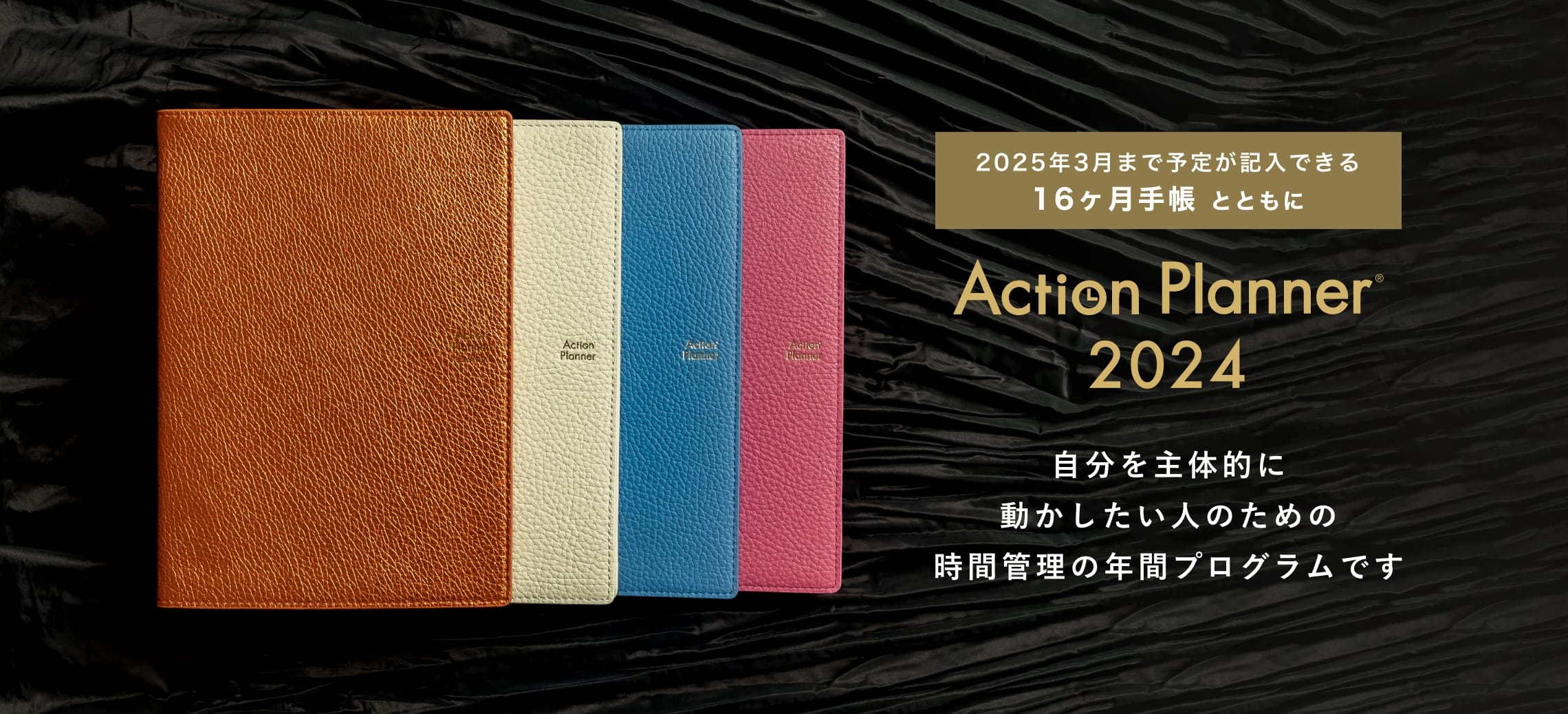 Action Planner 2024