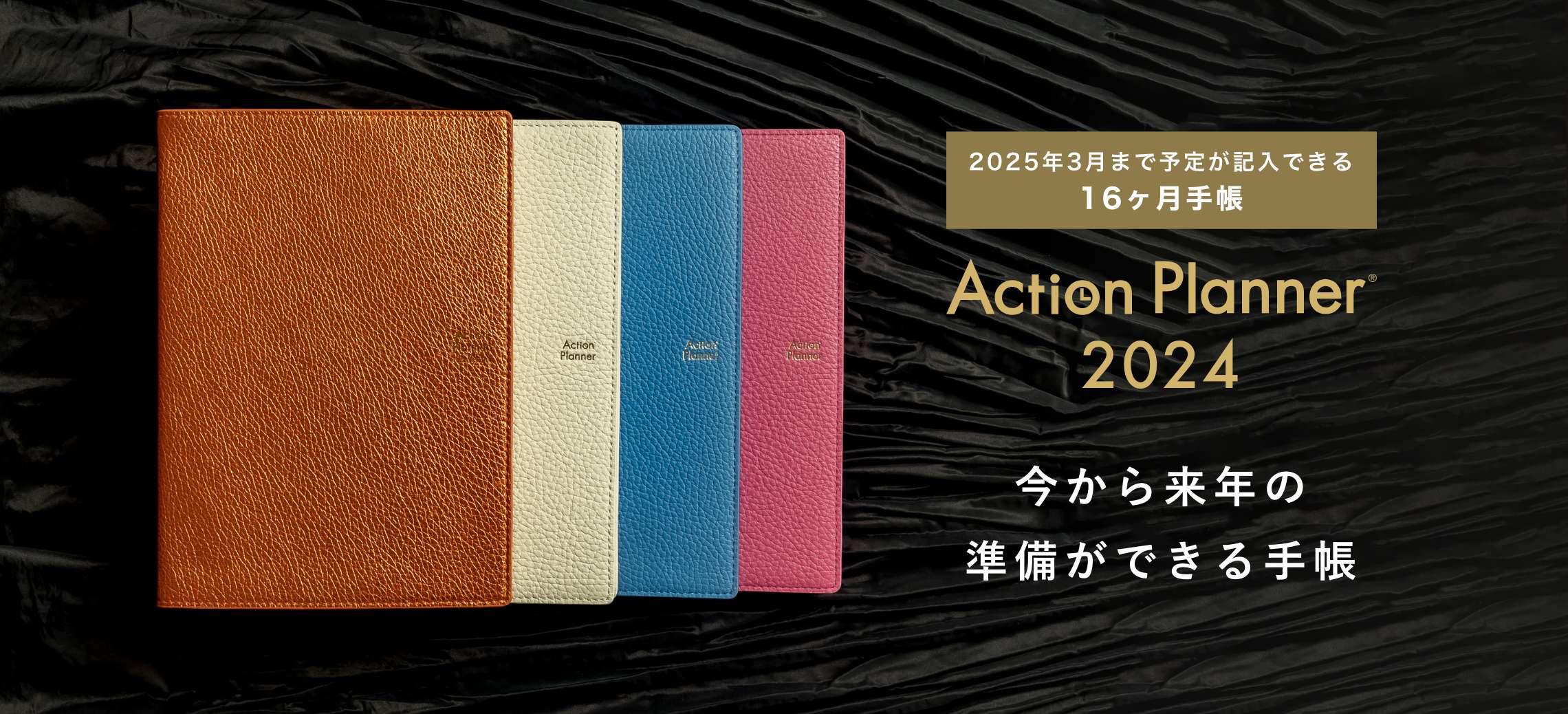 Action Planner 2024
